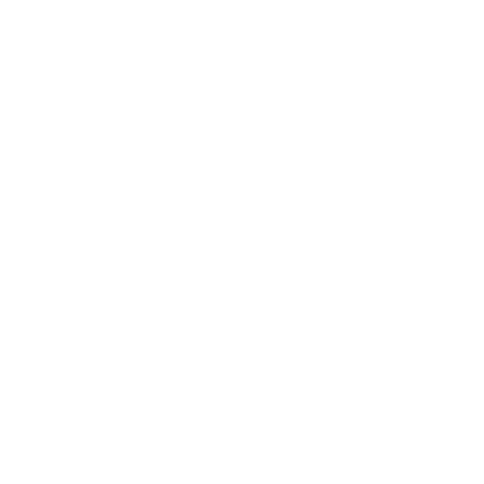 Boltick Party